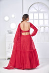 Rani Pink Net Lehenga with Thread & Sequence Embroidery