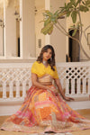 Lehenga Choli Collections digital prints and embroidery work