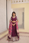 Wine Viscose Jacquard Lehenga Choli with Gajji Silk Dupatta