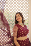 Wine Dyable Viscose Jacquard Lehenga with Sequinsand ut Work Dupatta